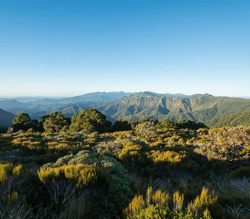 Day 3 of South Island Wilderness Encounters: Paparoa National Park
