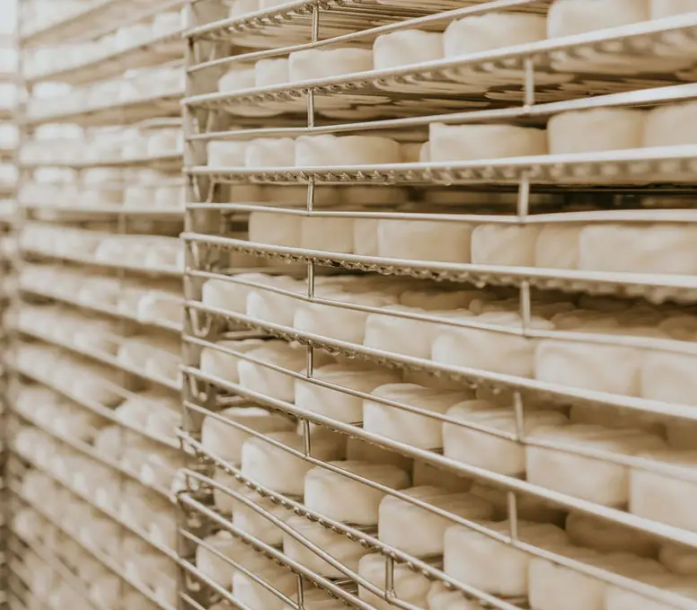 Day 2: Whitestone Cheese Factory Guided Tour with Wine Pairing - suggested activity, Southern East Coast
