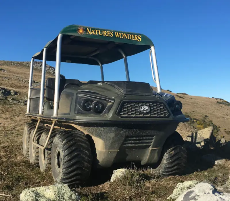 Day 3 of Southern East Coast: Argo ATV Wildlife Tour with Natures Wonder