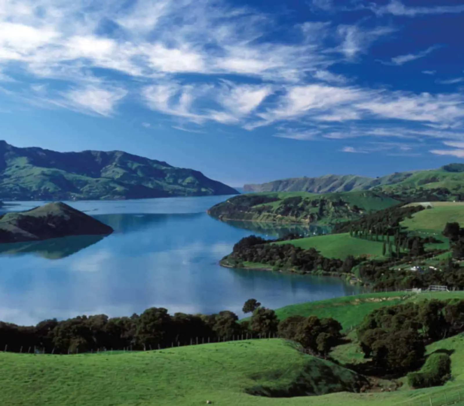 Day 2: Akaroa Day Tour & Cruise with Leisure Tours - Lunch Included, Southern Splendor & Sights
