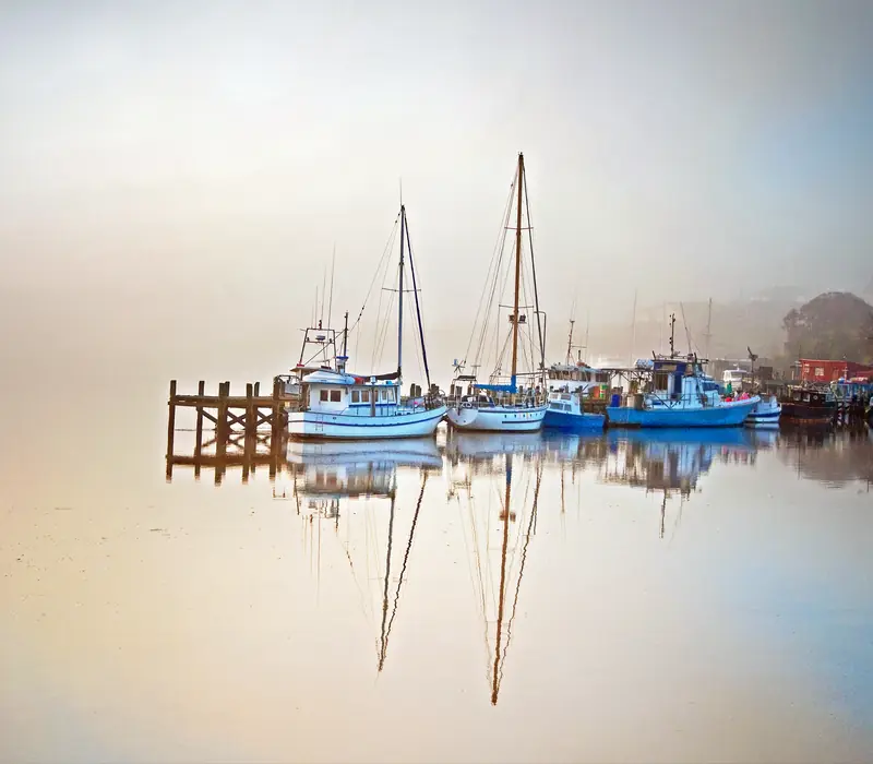 Spirit of New Zealand - Small Group Tour 26/27 scenery 4