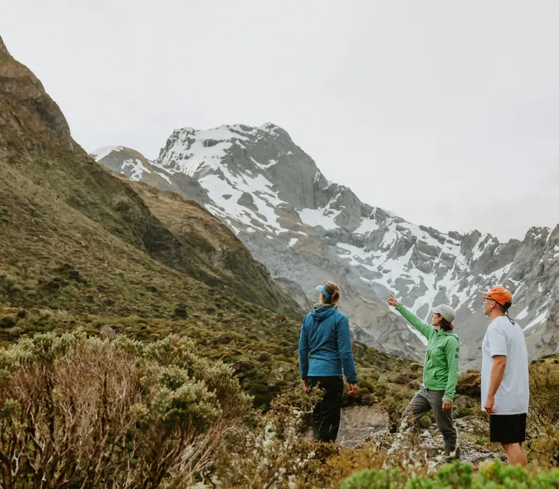 Day 6 of The Central Otago Gold Trail: Guided Scenic Walk with Aspiring Guides - Lunch Included