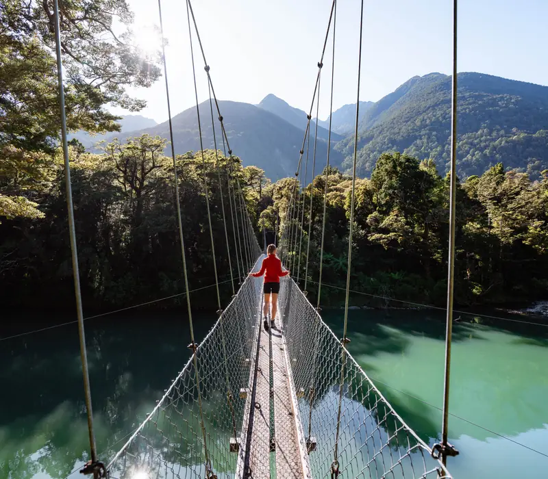 Day 4 of The Hollyford Wilderness Experience: Ka Tuku Lodge to Martins Bay - Includes Breakfast, Lunch and Dinner