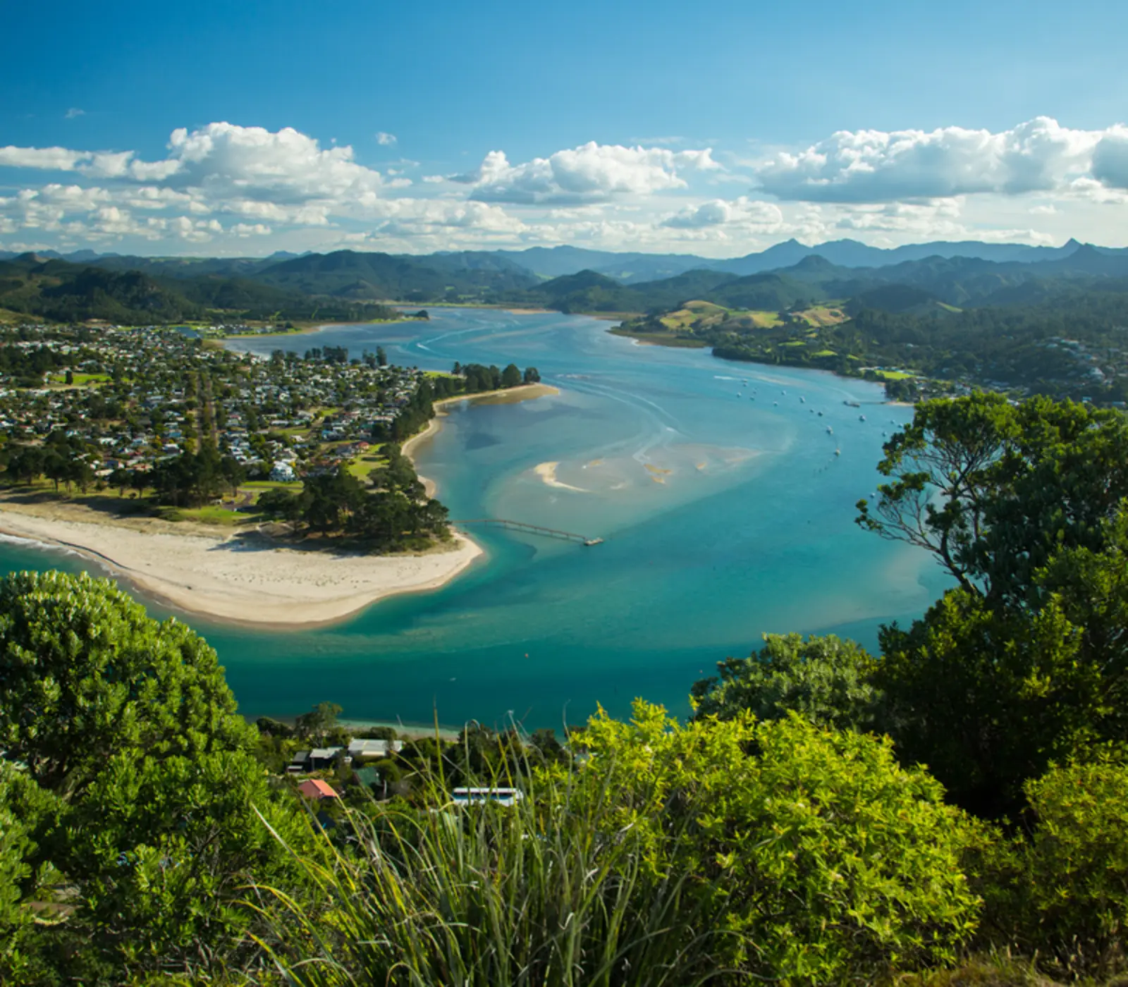 Day 7 of The Ultimate North-South: Tairua