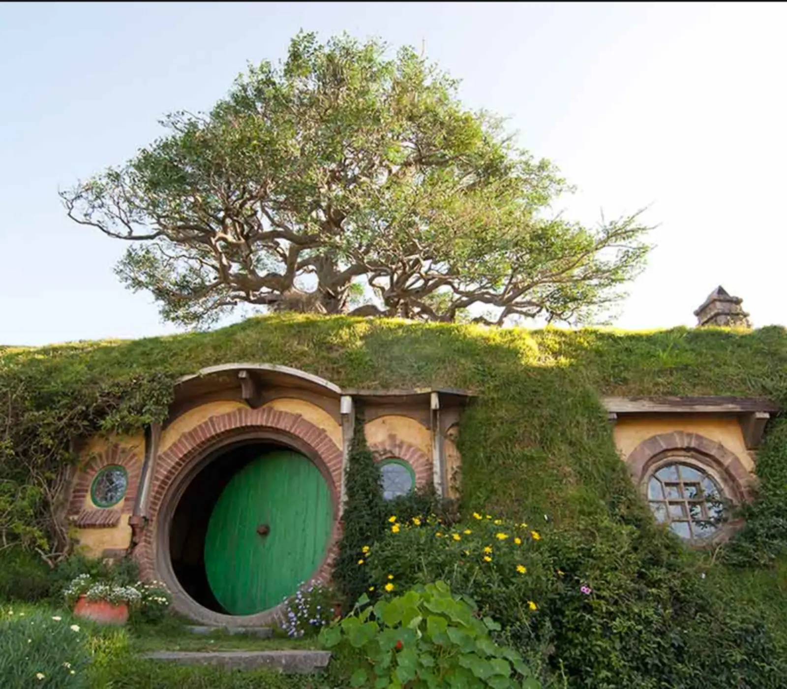 Day 1: Auckland to Rotorua Small Group Tour via Hobbiton with Bush and Beach, New Zealand Explorer