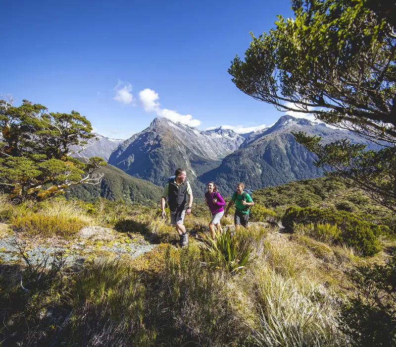 Day 5 of The Southern Circle Day Walks: Routeburn Track Guided Day Walk - Lunch Included
