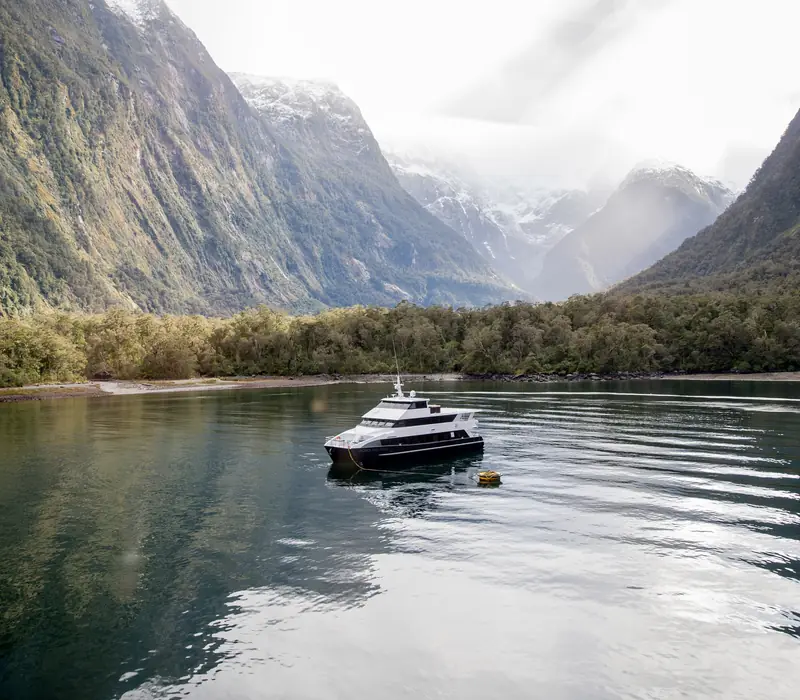 Day 21 of The Ultimate Birds of New Zealand: Milford Sound Overnight Cruise on the Fiordland Jewel with Fiordland Discovery