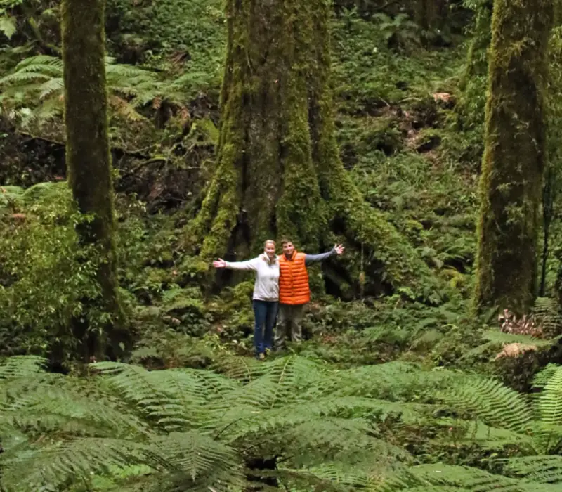 Day 9 of The Ultimate Birds of New Zealand: Birding Day Tour in Rotorua with Foris Eco Tours - Lunch Included