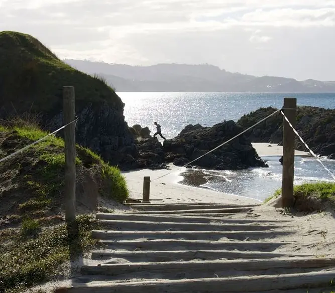 Day 7 of The Ultimate Birds of New Zealand: Tawharanui Marine Reserve
