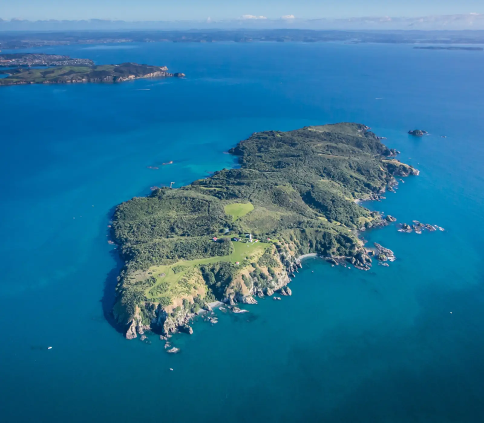 The Ultimate Birds of New Zealand Tour: 30 day New Zealand self drive tour