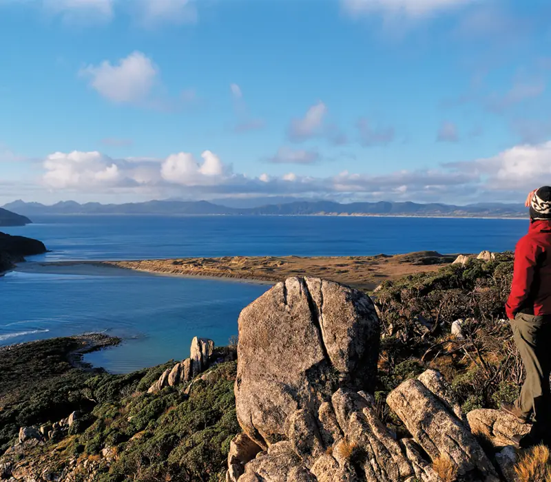 Day 25 of The Ultimate Birds of New Zealand: Stewart Island Walking Tracks - suggested activity