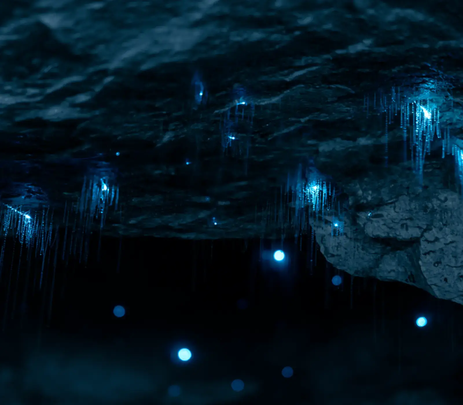 Day 3: Te Anau Glowworm Caves with RealNZ (photo 3), The Ultimate Fiordland Adventure