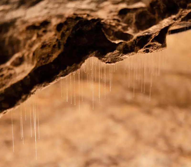 Day 3: Te Anau Glowworm Caves with RealNZ (photo 4), The Ultimate Fiordland Adventure