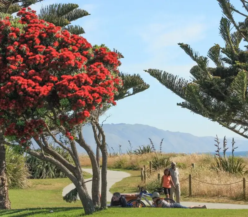 Day 7 of The Ultimate NZ Coastal Safari: Wellington to Paraparaumu