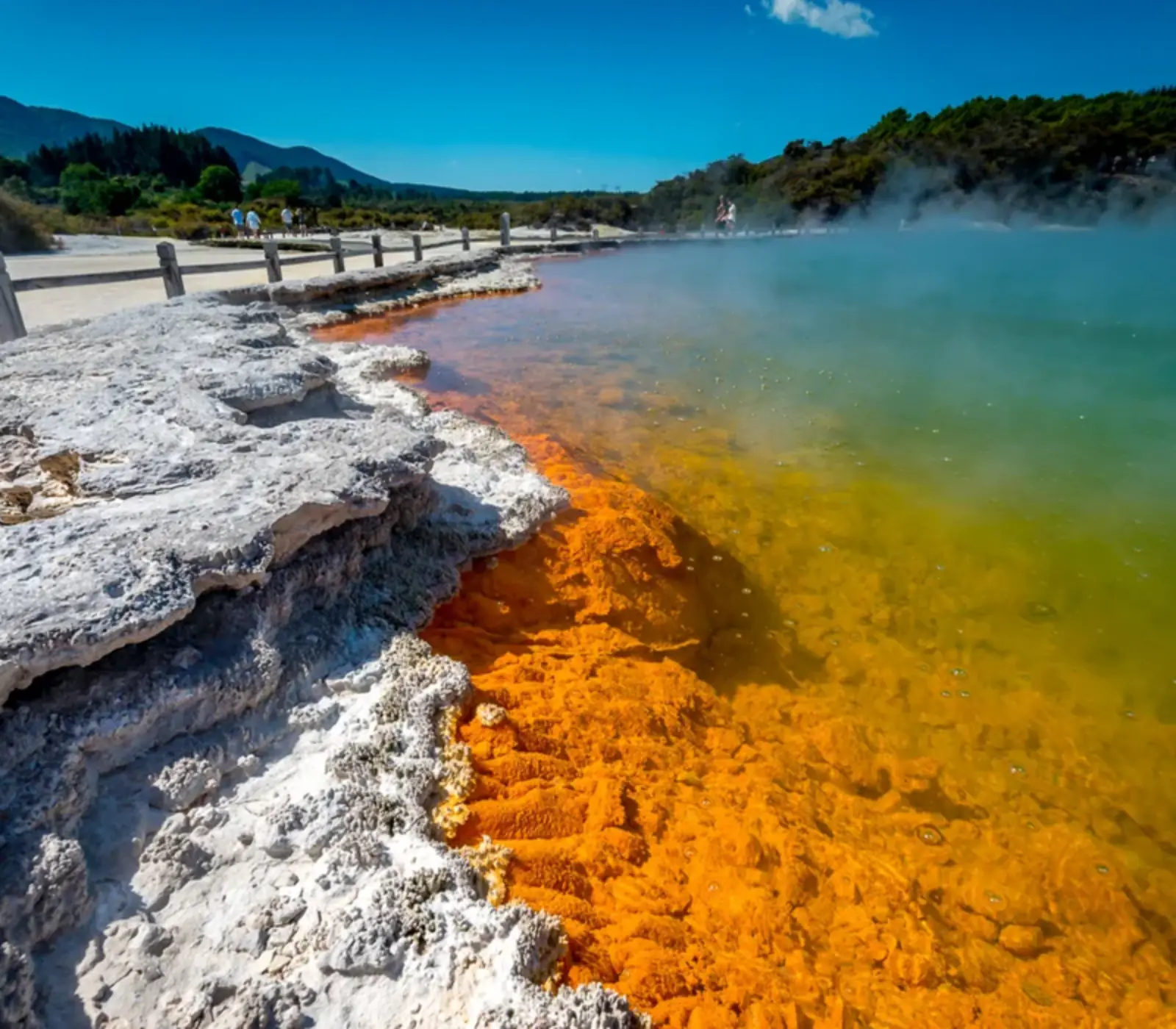 Day 3: Wai-O-Tapu Thermal Wonderland (photo 2), The Volcanic Centre Self Drive