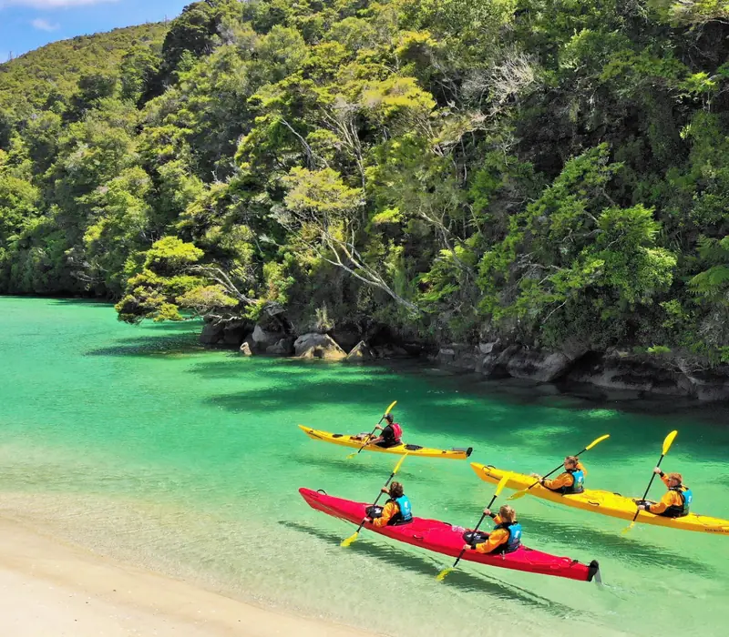 Day 6 of Top of the South Island National Parks: Day 1: Nelson/Motueka to Torrent Bay - Includes Lunch and Dinner