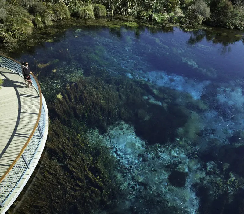 Day 4 of Top of the South: Cruise to Golden Bay Day Tour with Wine, Art & Wilderness - Lunch Included