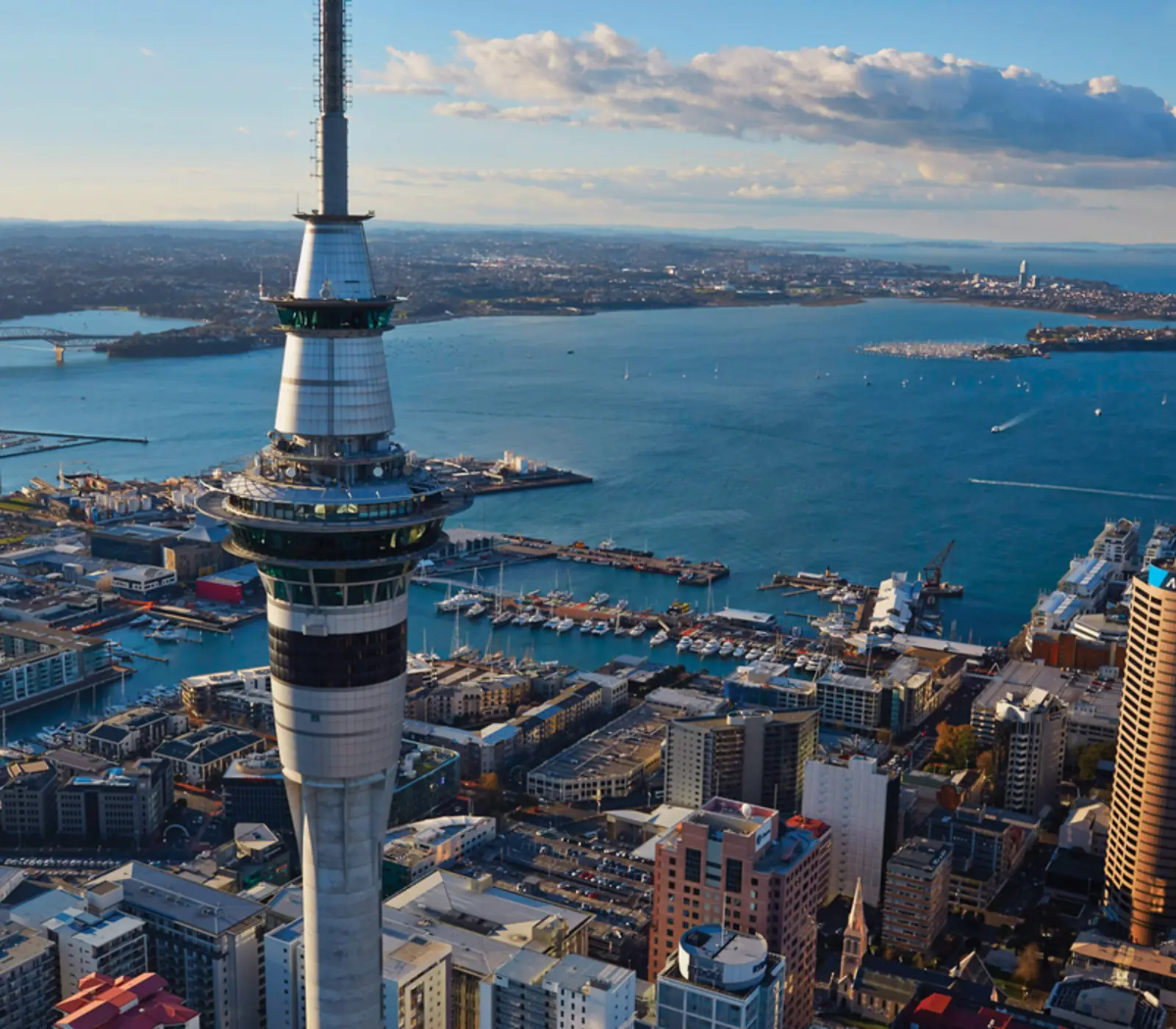Day 1: Arrive into Auckland, Pohutukawa