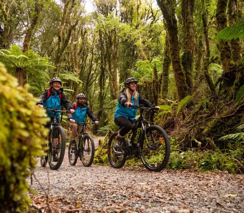 Day 4 of Southern Scenes: Fox Glacier Valley E-bike & Hike with Fox Glacier Guiding