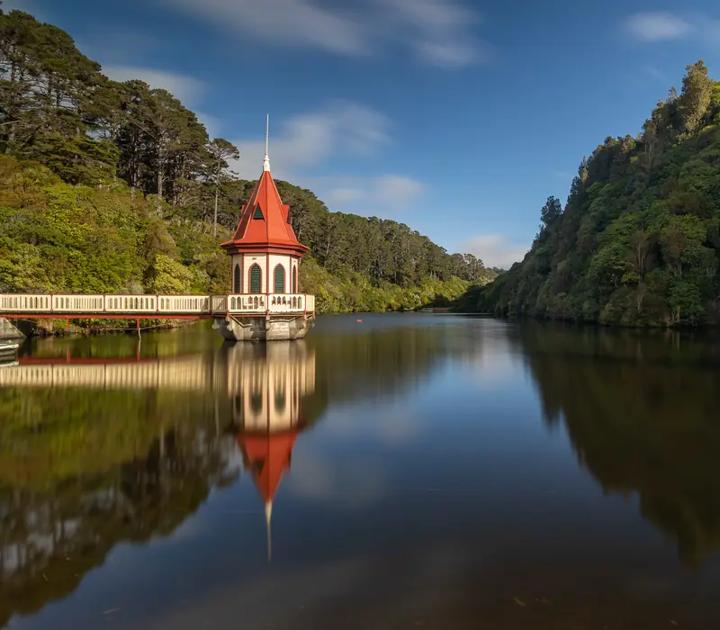 Day 13 of Ultimate New Zealand: Kick the day off with a visit to Zealandia, a conservation project that has successfully r