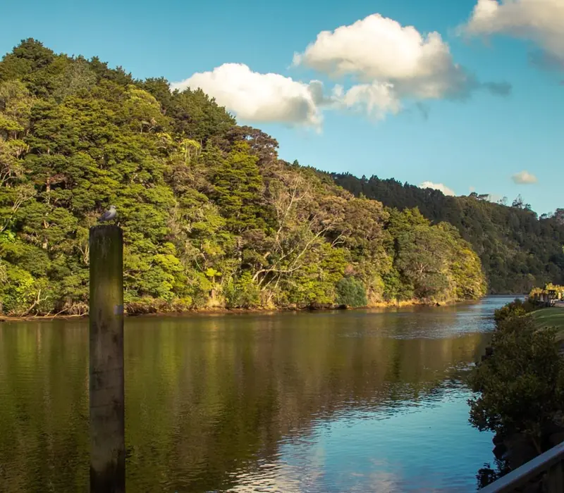 Day 5 of Discover Aotearoa: Paihia, Bay of Islands to Warkworth via Waipoua