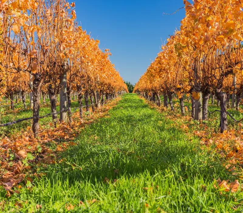 Untamed New Zealand - Small Group Tour 26/27 scenery 5
