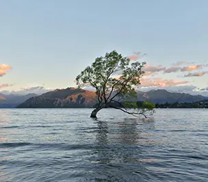 Day 14 of Untamed New Zealand - Small Group Tour 26/27: Depart the serene beauty of Fiordland National Park and journey to the picturesque country