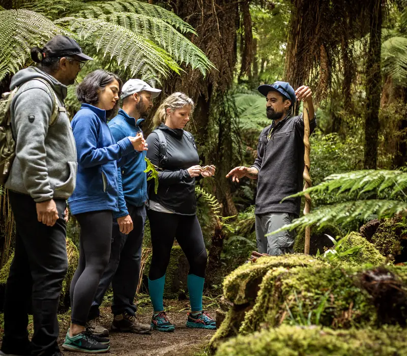 Untamed New Zealand - Small Group Tour 26/27 scenery 3